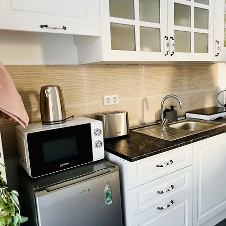 Airport Gardens Loft Apartment Otopeni Bagian luar foto