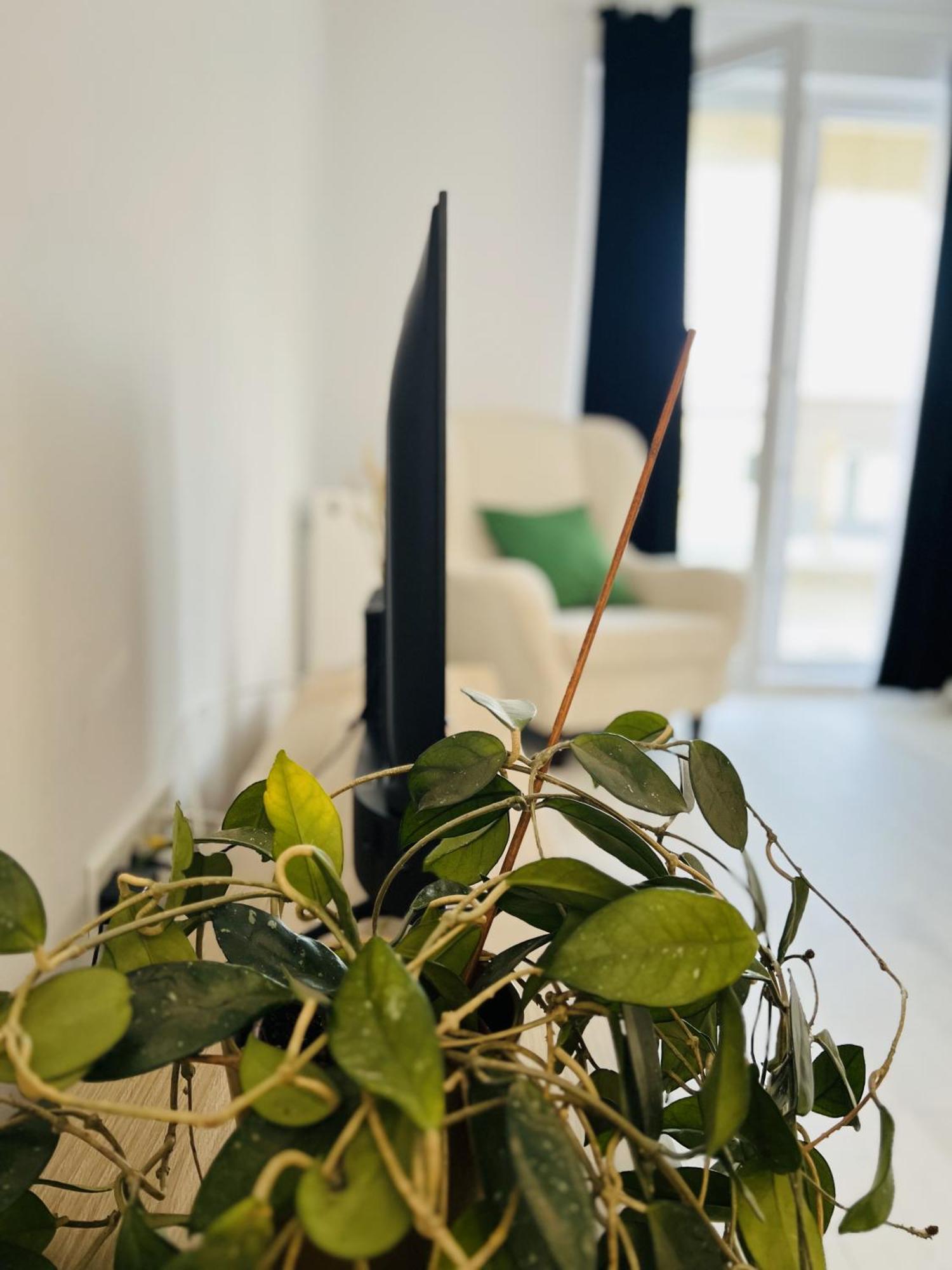 Airport Gardens Loft Apartment Otopeni Bagian luar foto